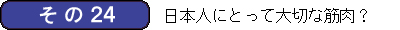 筋肉かるた