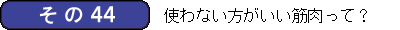 筋肉かるた