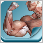 筋肉暗記（iPhone/Android アプリ）