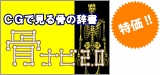 人体骨格標本がまるごとパソコンに入りました。