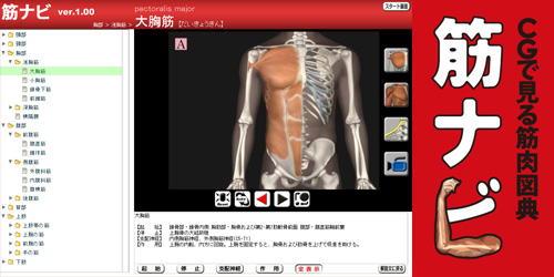 CGでみる筋肉図典・筋ナビ