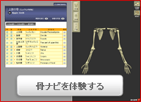 骨ナビ2を体験する