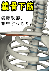 筋肉総選挙