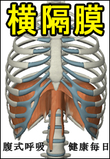 筋肉総選挙