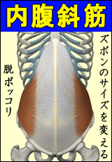 筋肉総選挙