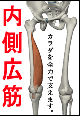 筋肉総選挙