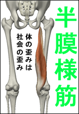 筋肉総選挙