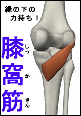 筋肉総選挙