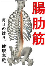 筋肉総選挙