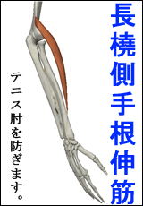 筋肉総選挙