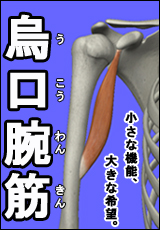 筋肉総選挙