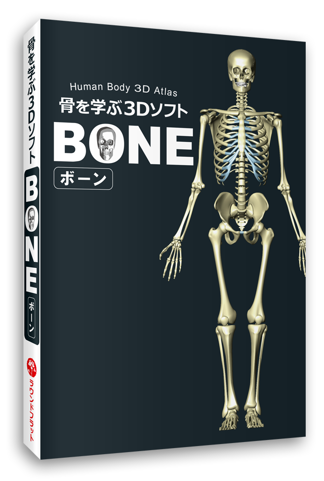 BONE