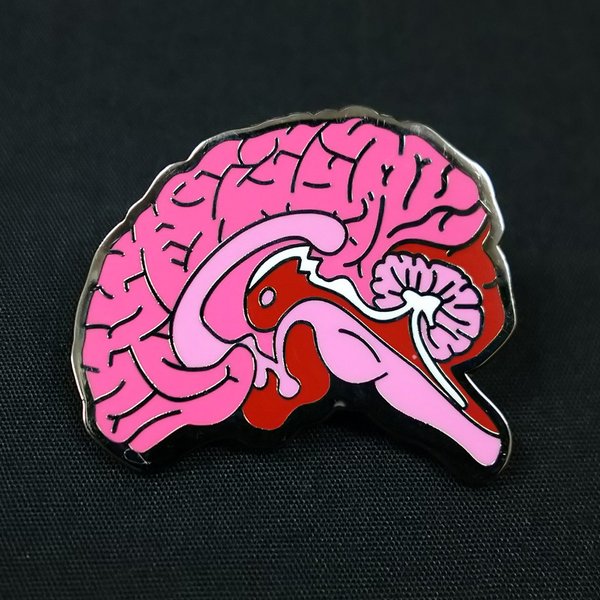 アナトミーピンバッチ 内側面の脳（Brain, Pink Medial view）
