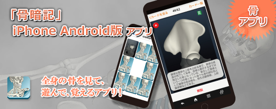 骨暗記iOS版/Android版