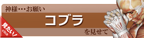 コブラをやってみよう！