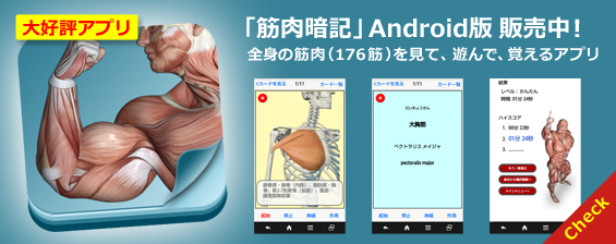 筋肉暗記Android版 販売開始