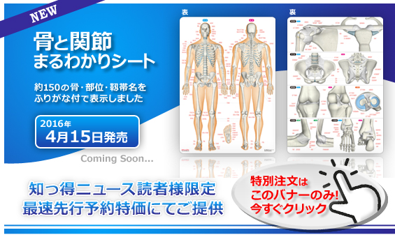 骨と関節まるわかりシート先行予約