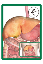 脳と内臓かるた