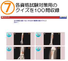 筋に関するクイズ100問付。各種試験対策に