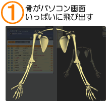 骨がパソコン画面いっぱいに飛び出す