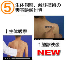 生体触察映像に理学療法士の先生による骨触診映像追加