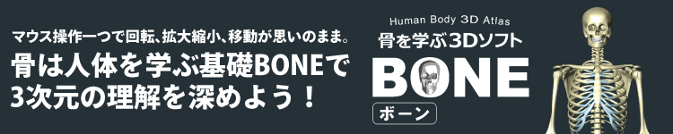 BONEバナー